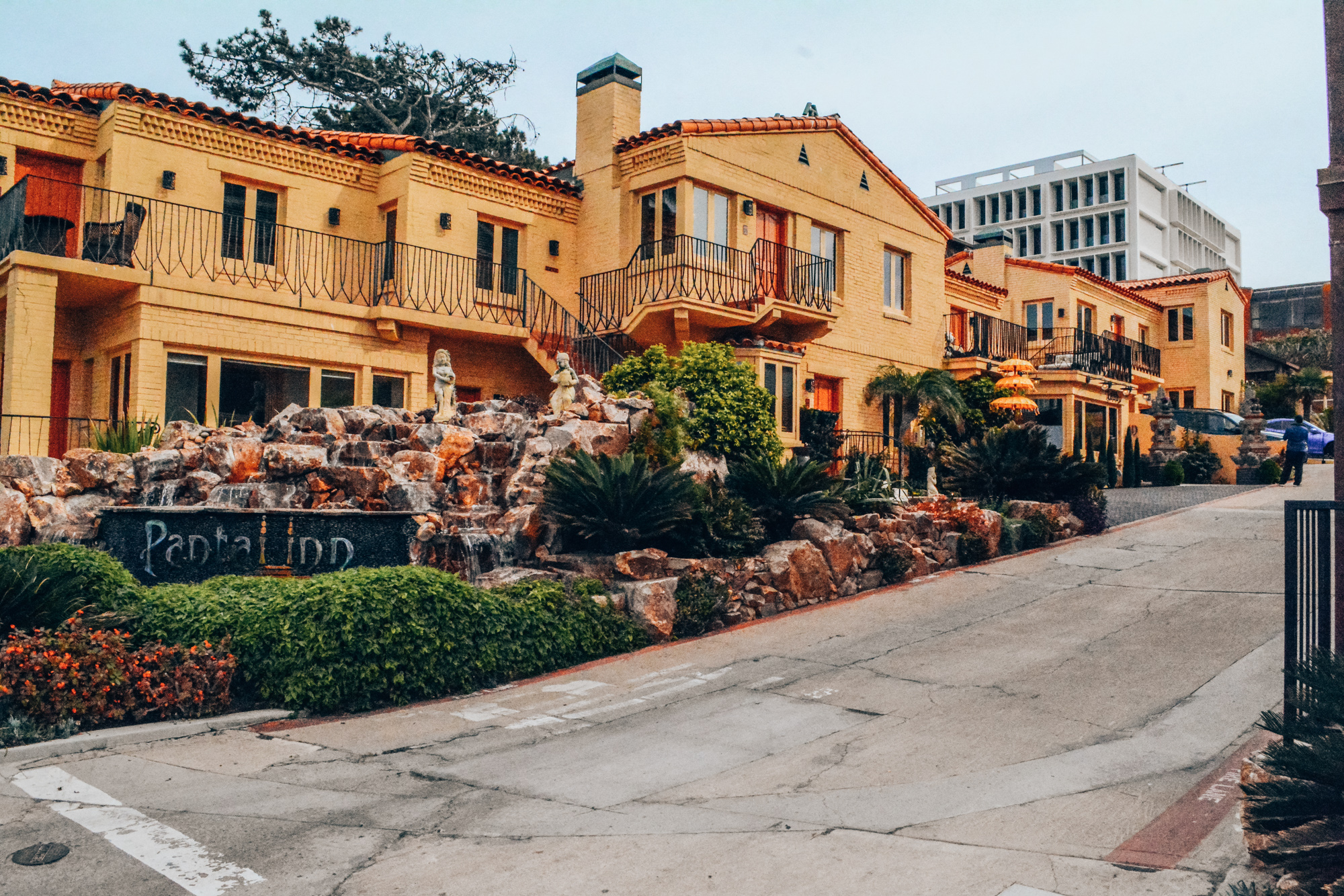 What to do in La Jolla, San Diego? TayaraMuse