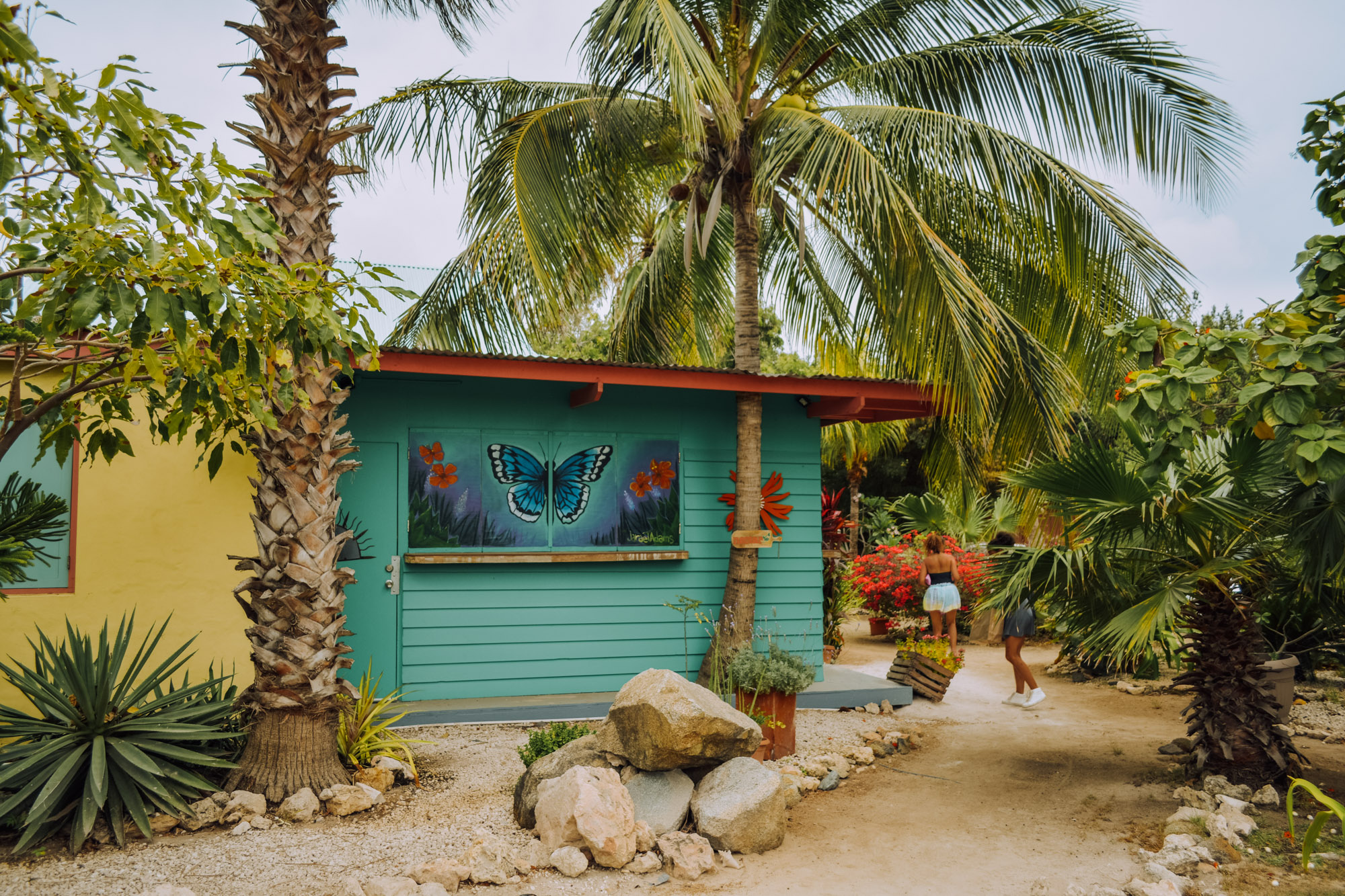 Neighborhood Guide & Hidden Gems In Aruba - TayaraMuse